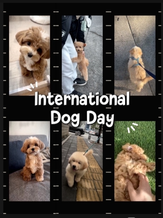 National Dog Day