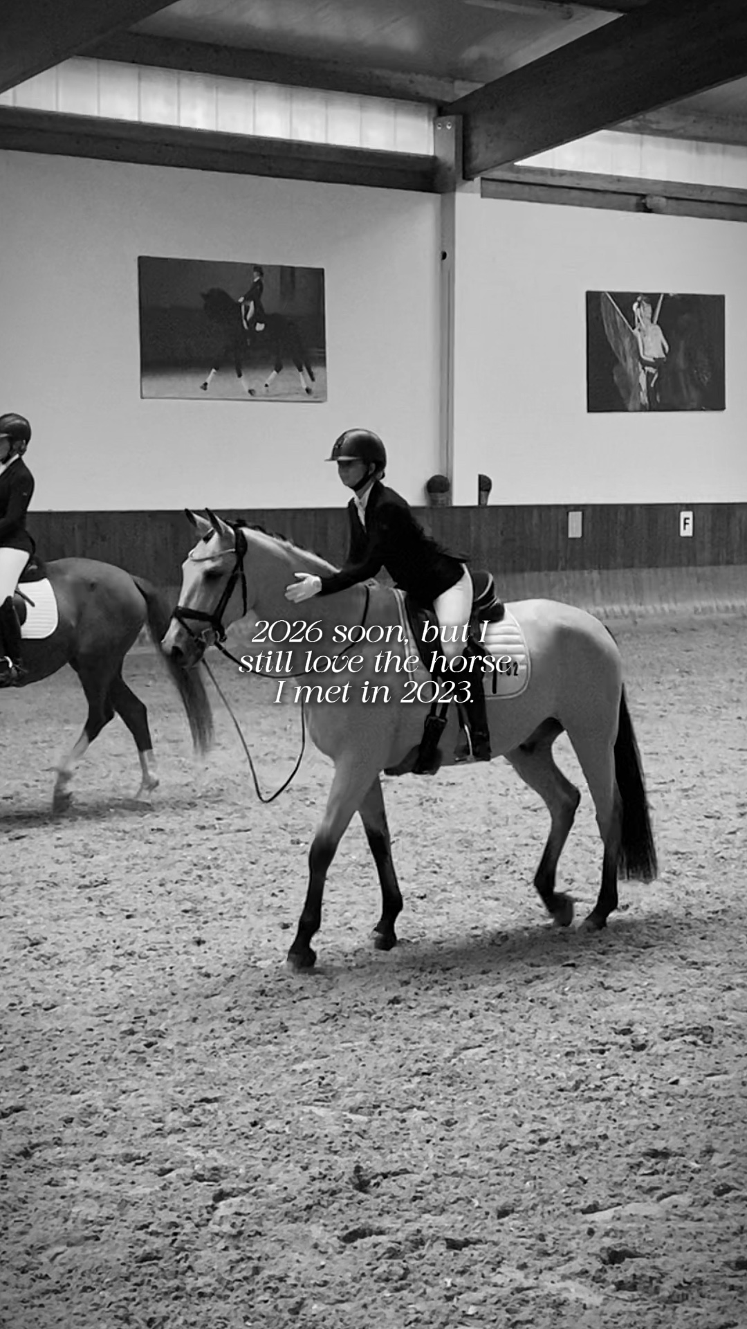 CABALLO QUE CONOCÍ EN 2023❤️‍🩹