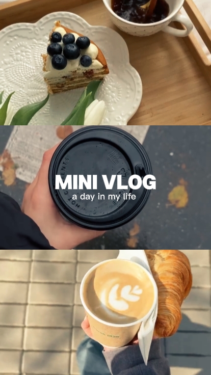 mini vlog