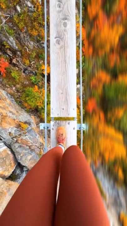 vlog mini