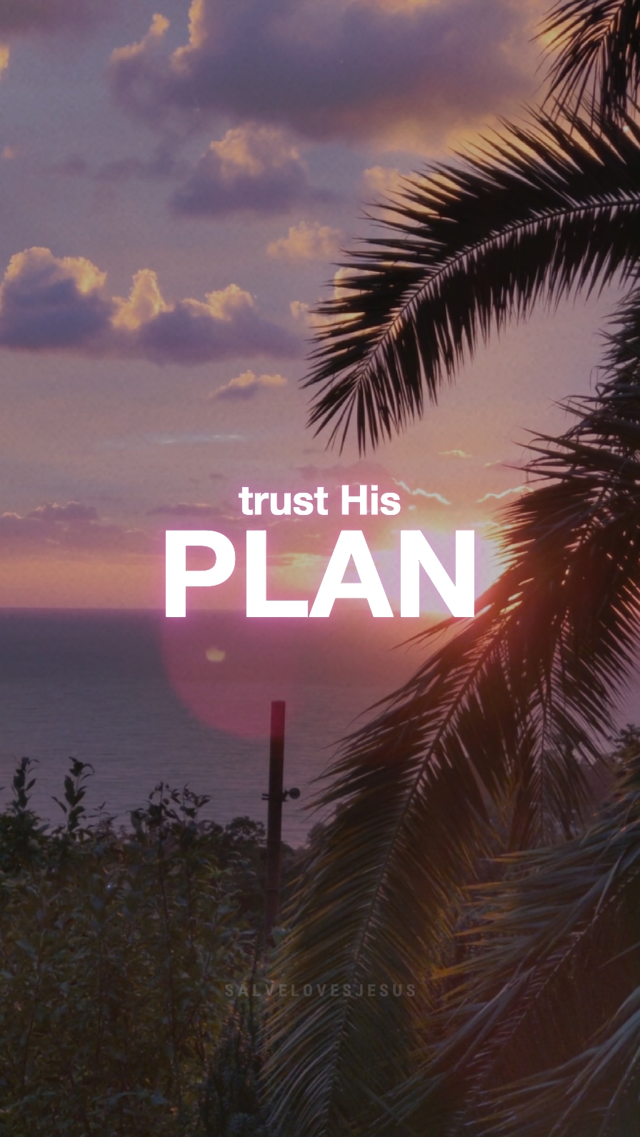 Trust His plan