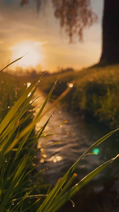 Naturaleza Cinemática