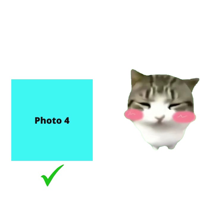 트렌드 편집 새로운