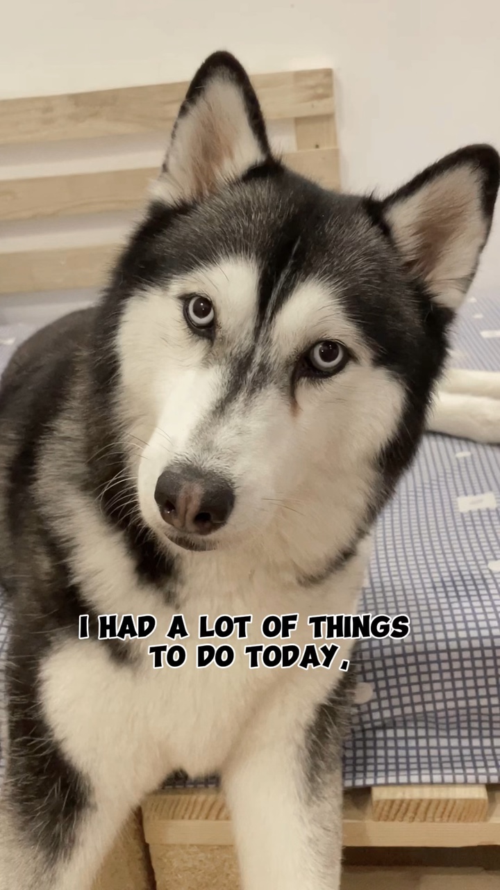 I took a nap!
