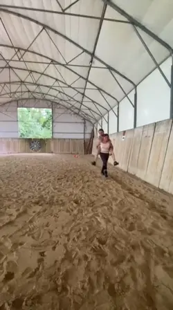 poney a vendre !