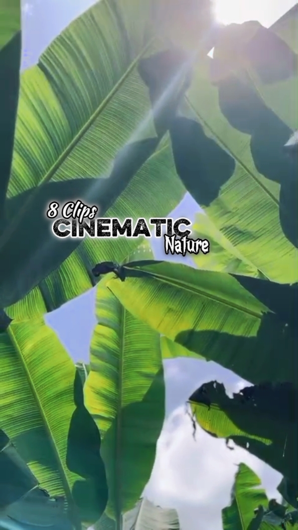 Cinematic 8 Clips 