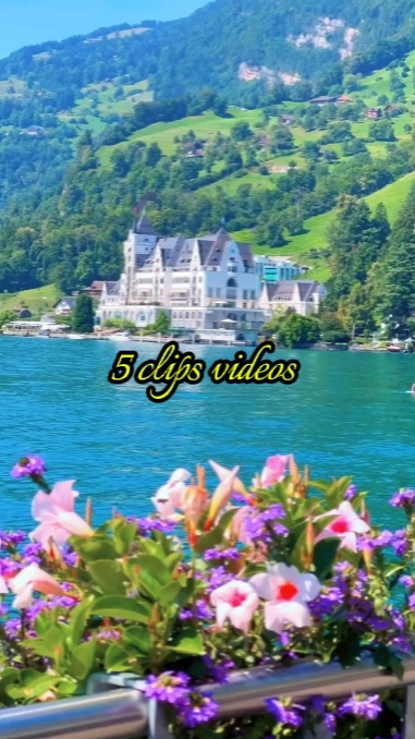 5 clips videos 