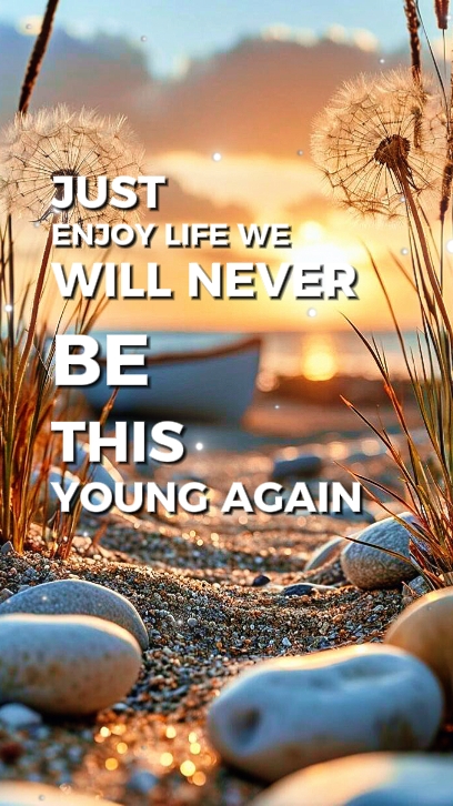 Just enjoy life