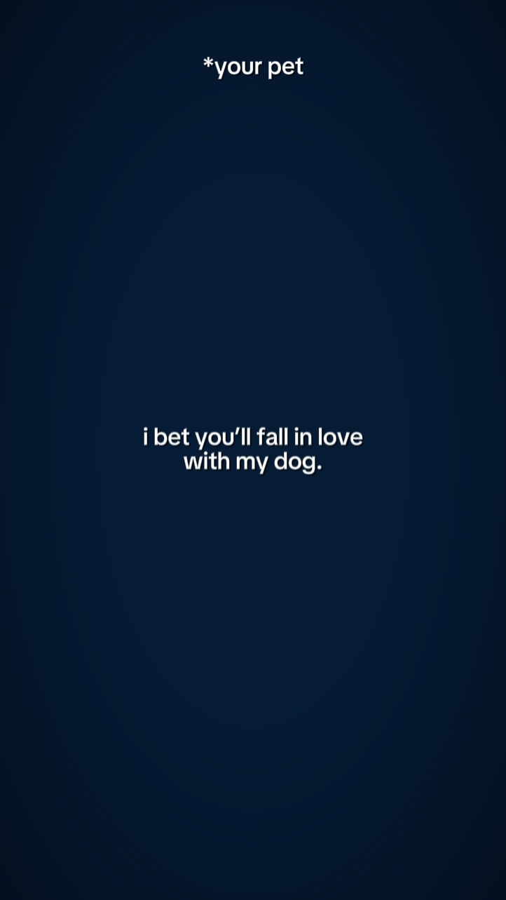 I bet you you'll
