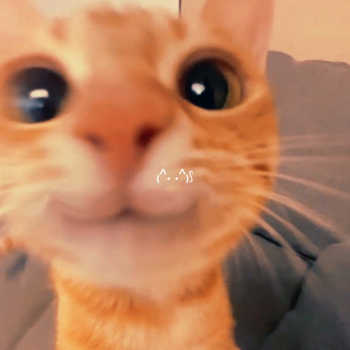 Miau miau