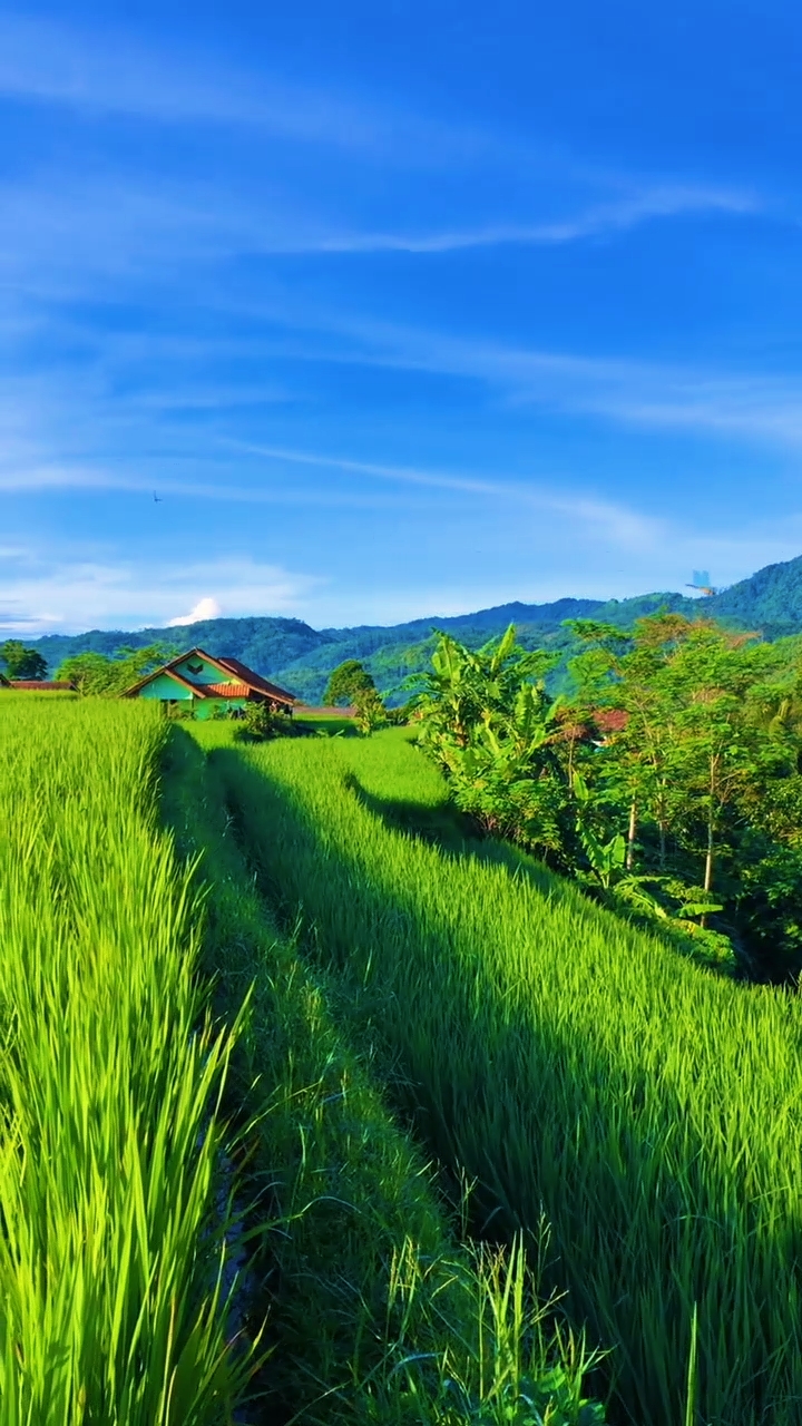 Keindahan alam