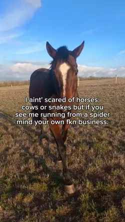 mind yo business