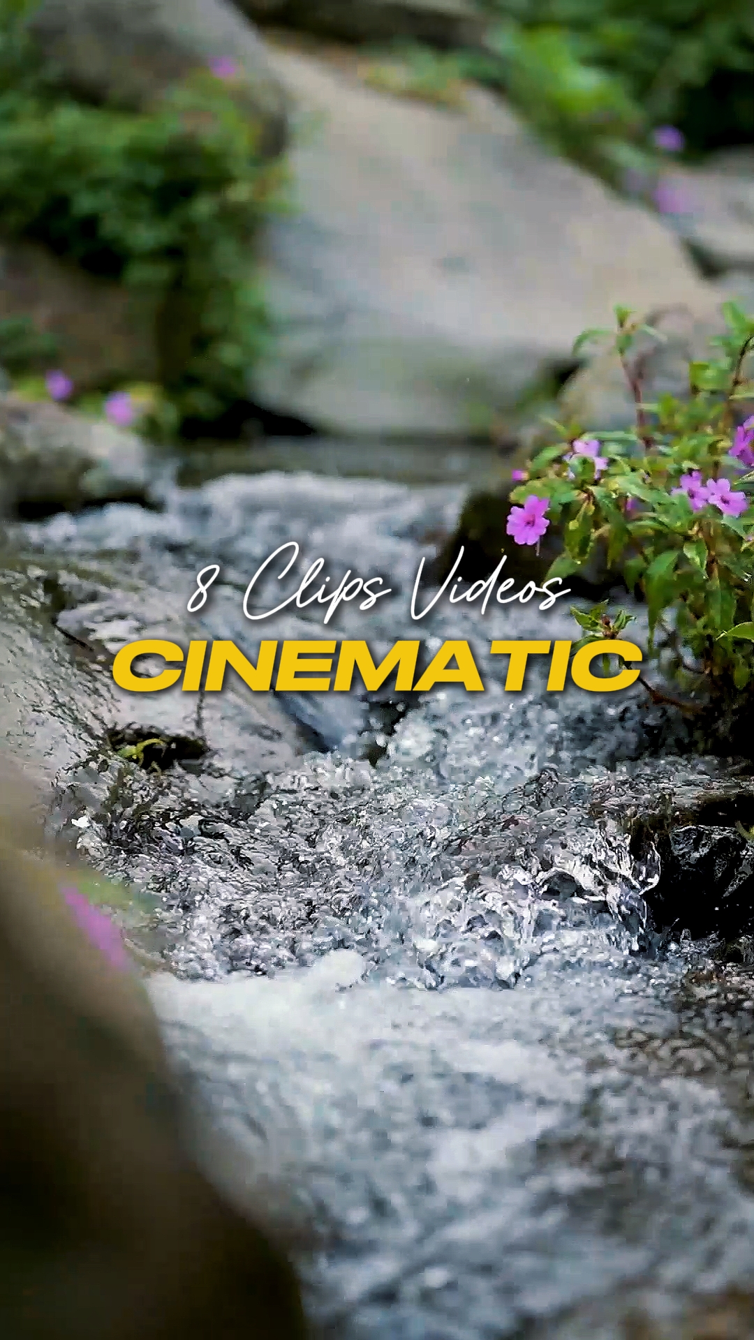 Cinematic 8 Videos