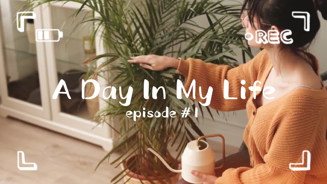 Daily Vlog Intro