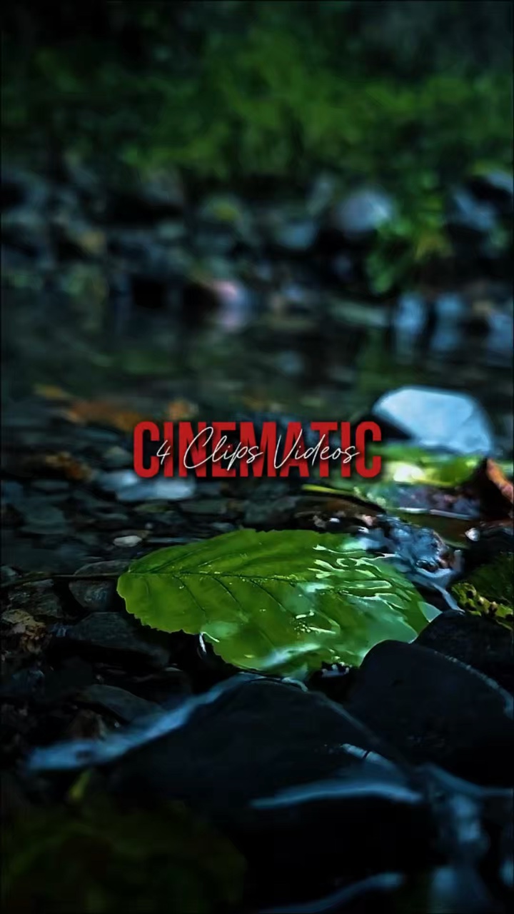 4 VIDEOS CINEMATIC 