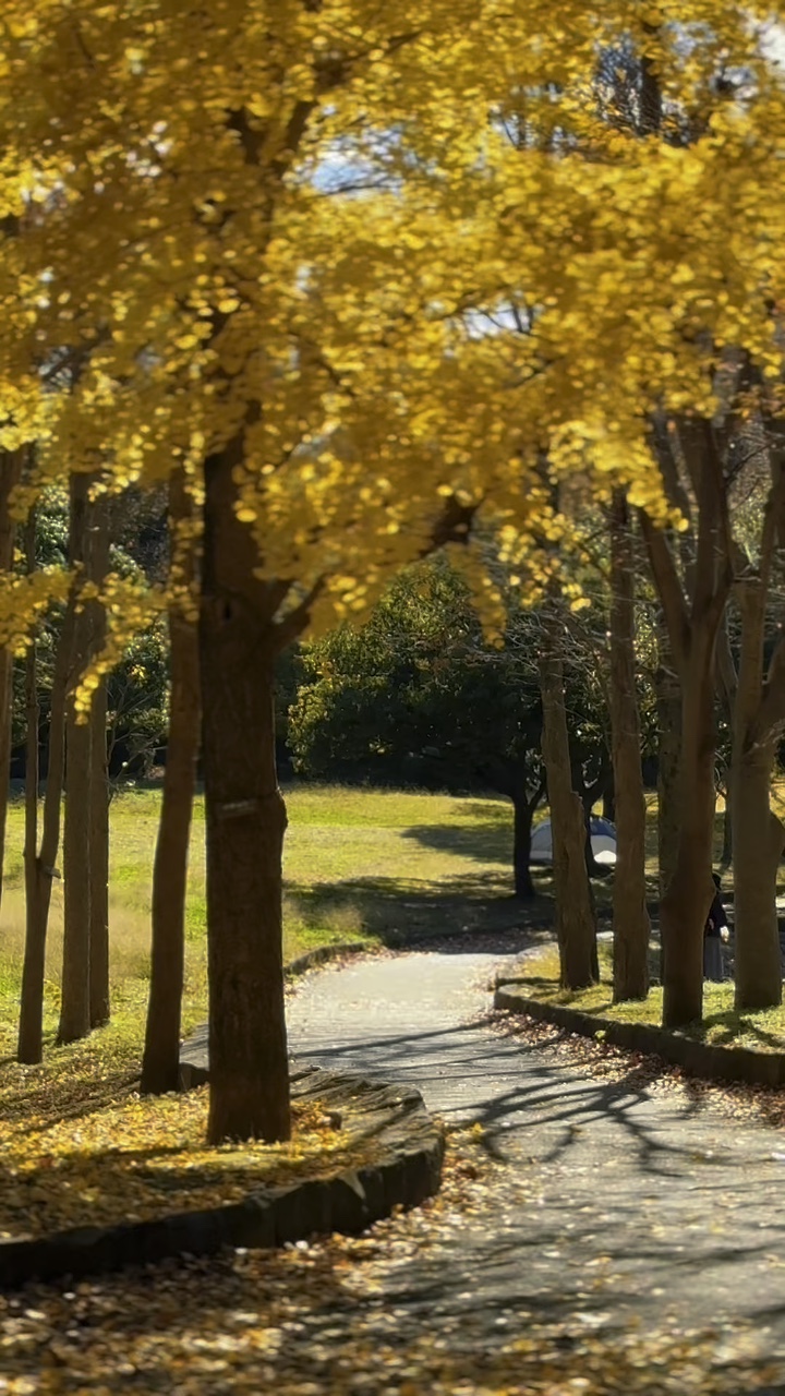 Herbstblätter