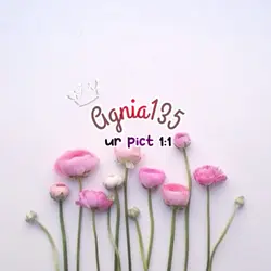 merdeka 1:1