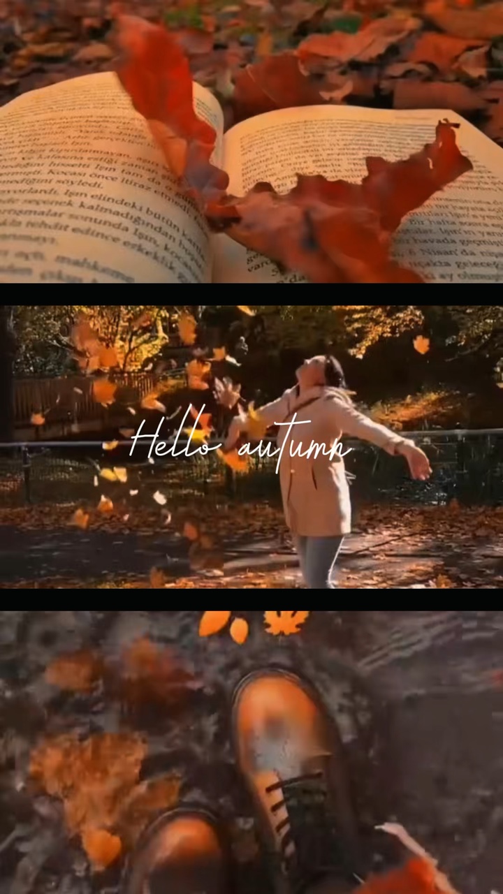 Oktober-Herbst
