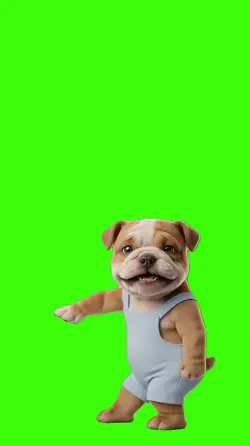 Cachorro/Dog.