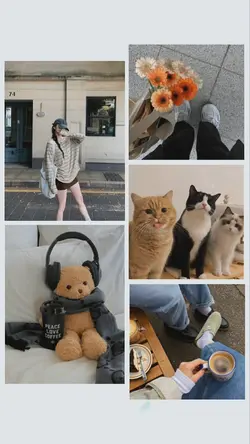 5 PHOTO