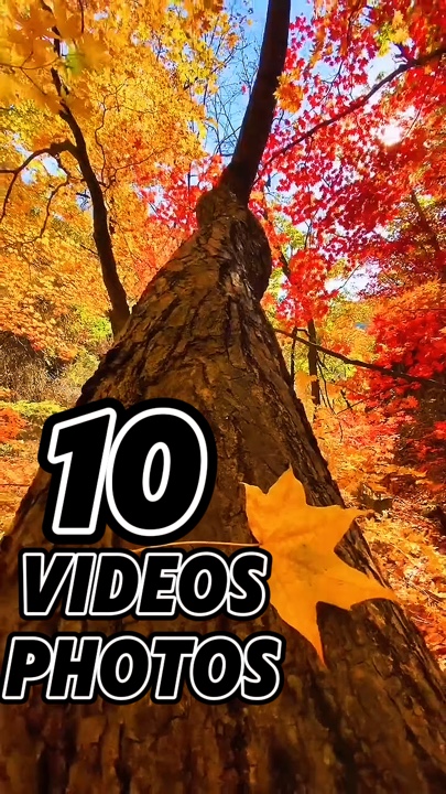 10 video or photo 