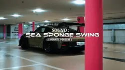 SEA SPONGE