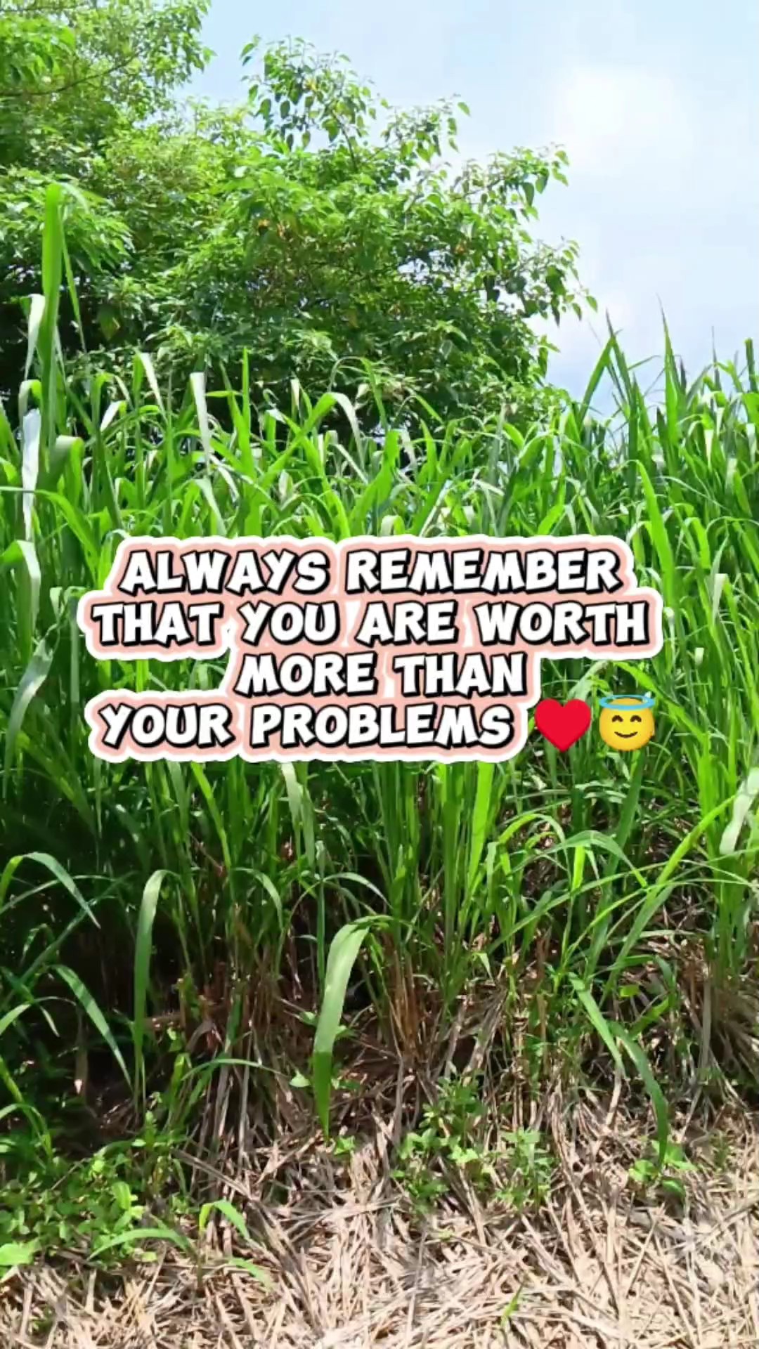 Motivación 