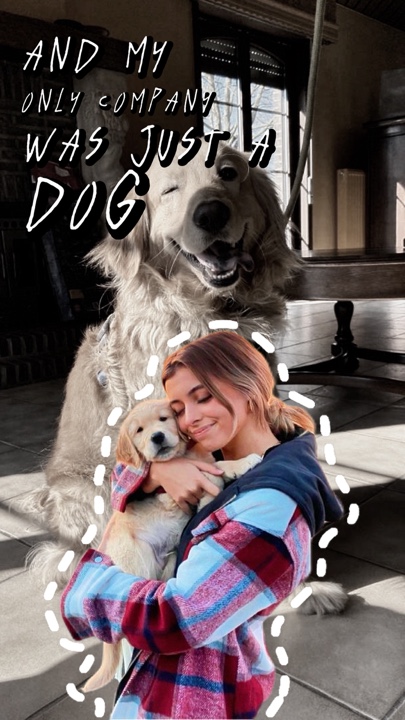 SOLO un perro 🐶