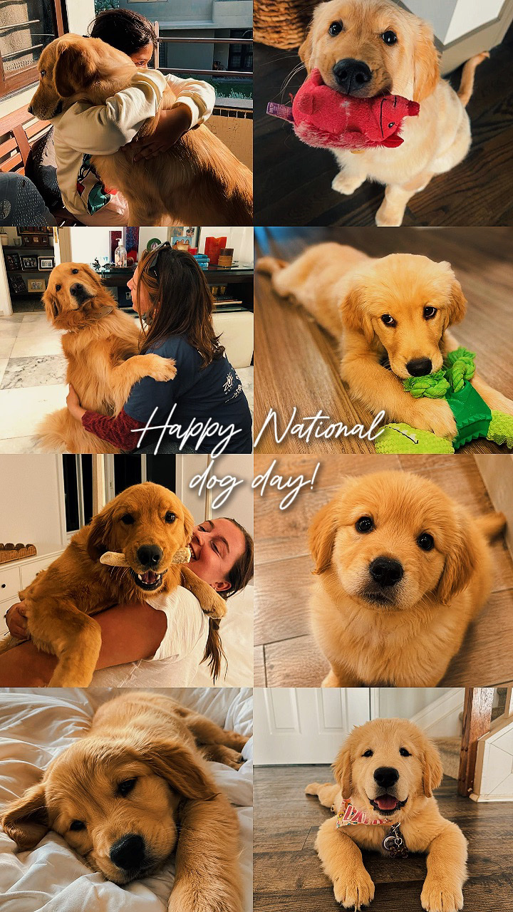 Dia nacional do cão