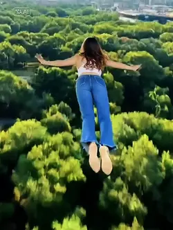 FLY EFFECT FILTER