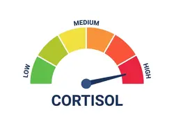Free cortisol