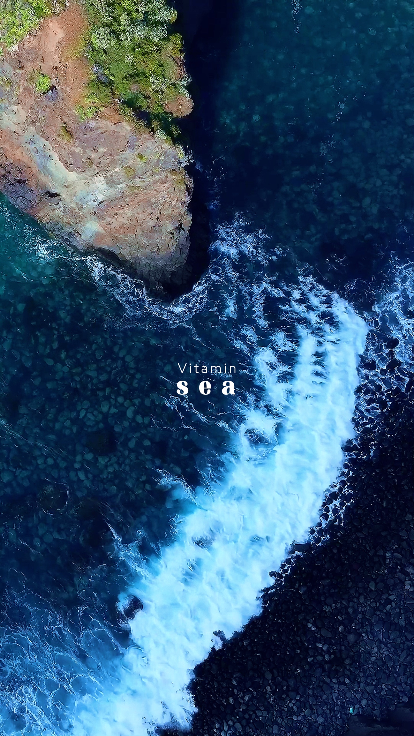 Vitamin SEA
