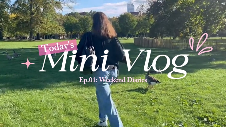 vlog video intro