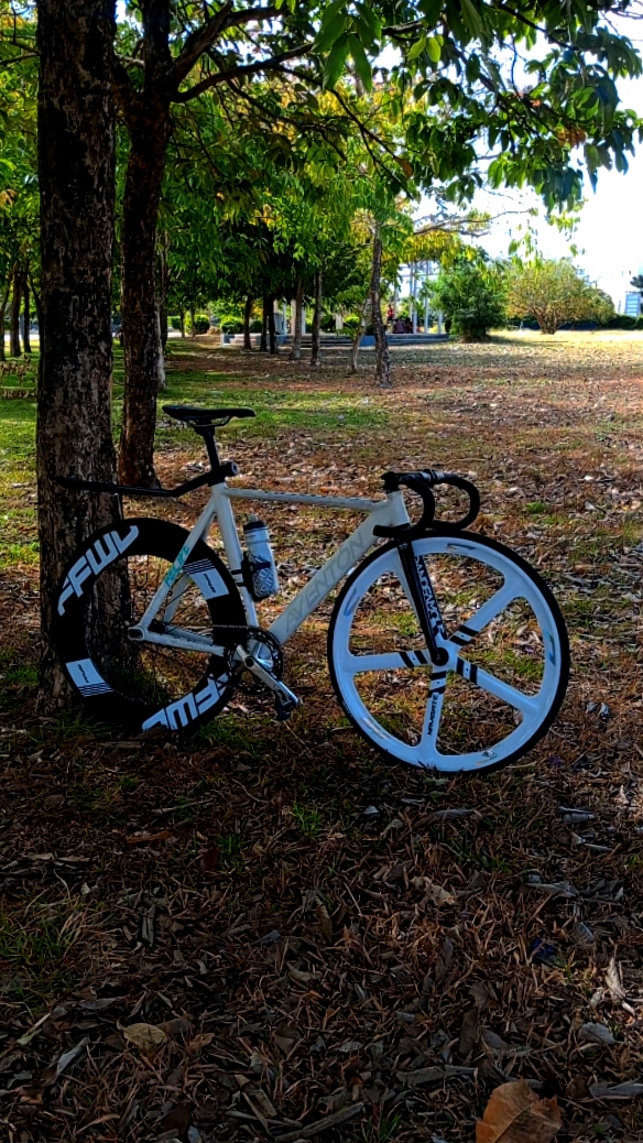 Editar mo na Fixie mo