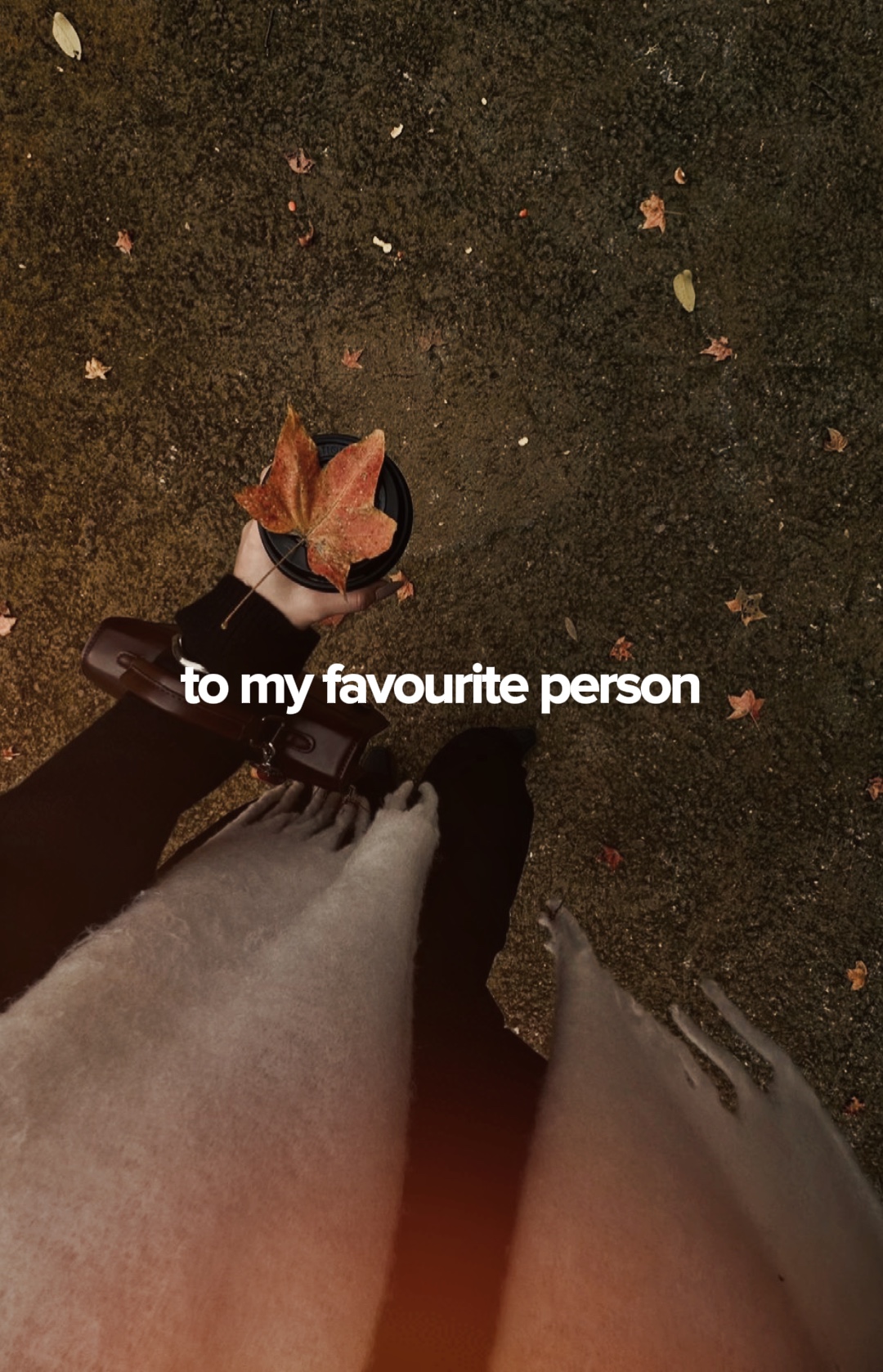 Mi persona favorita