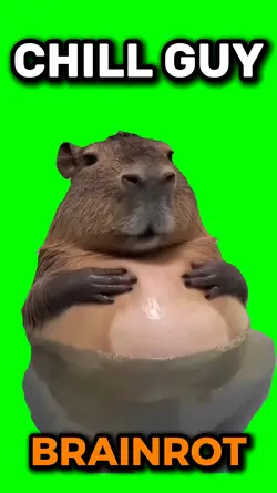 Chill guy