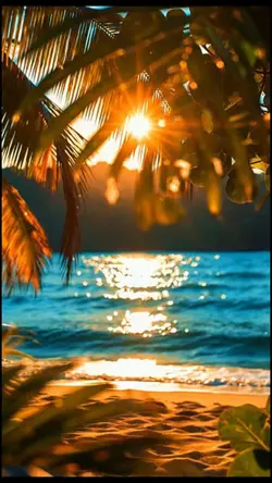 Paradise Beach 