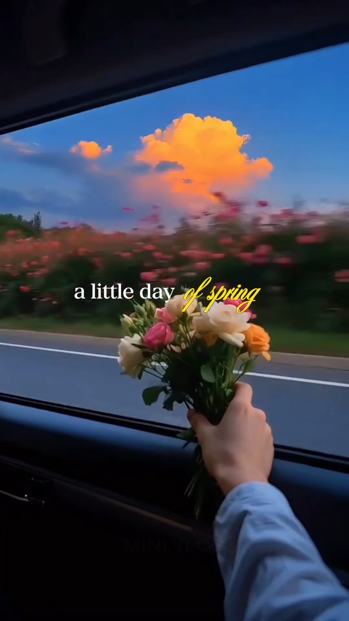 Little Day Of Spring