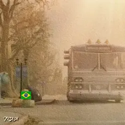 Brazil Eliminated 