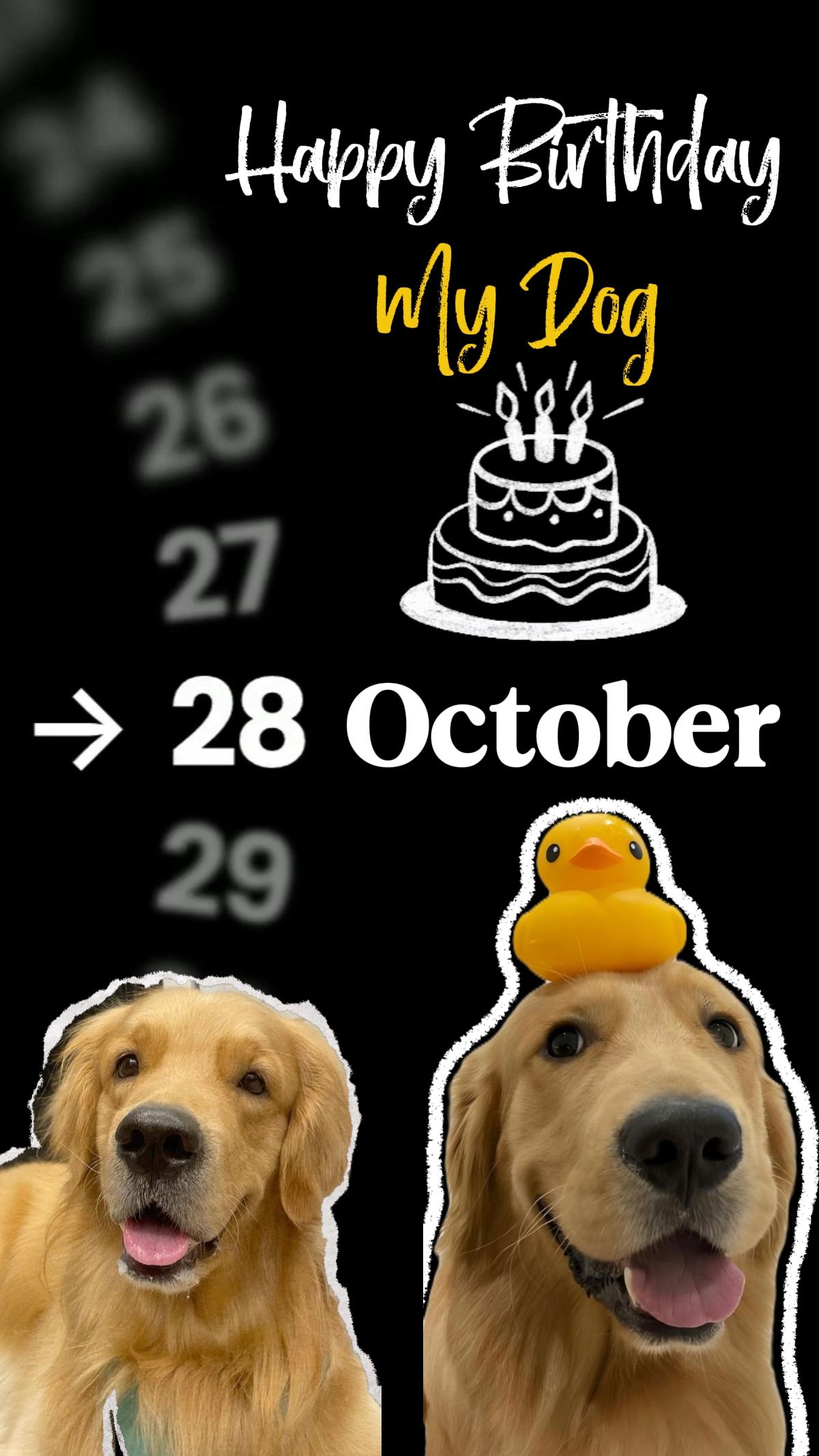 HBD Mein Hund