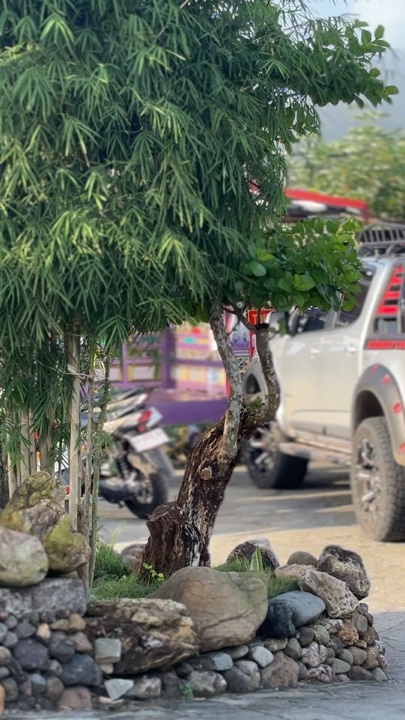 DENOK KINEMATIK