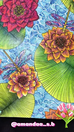 Livro de colorir