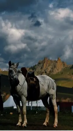 Mongolia