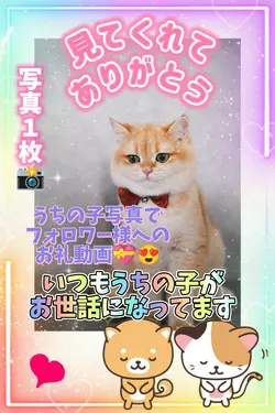 いつもうちの子がお世話になってます