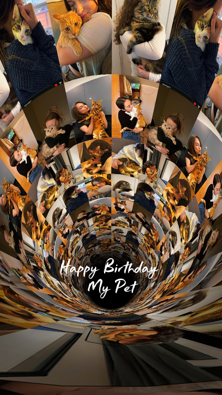 Birthday My Pet