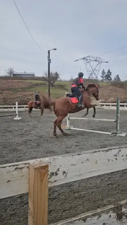 ugly jump good ride