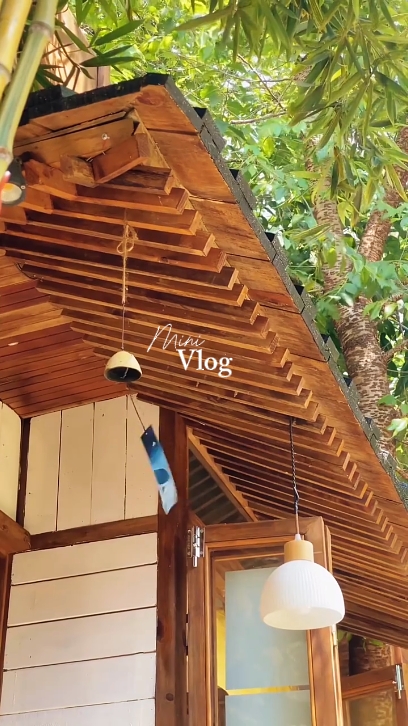 Mini Vlog
