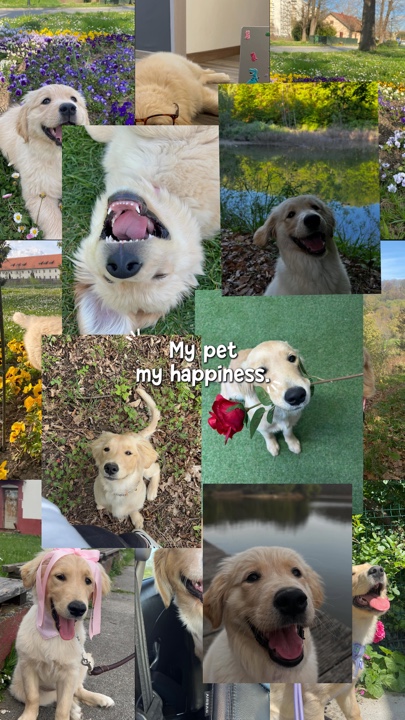 Mi mascota, mi felicidad