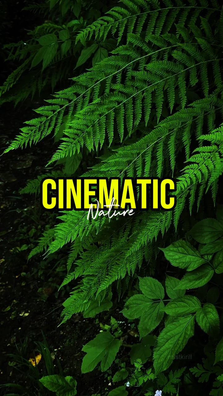CINEMATIC 