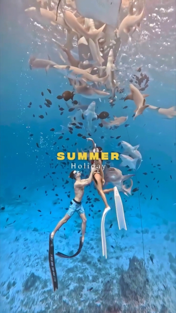 Summer Holiday